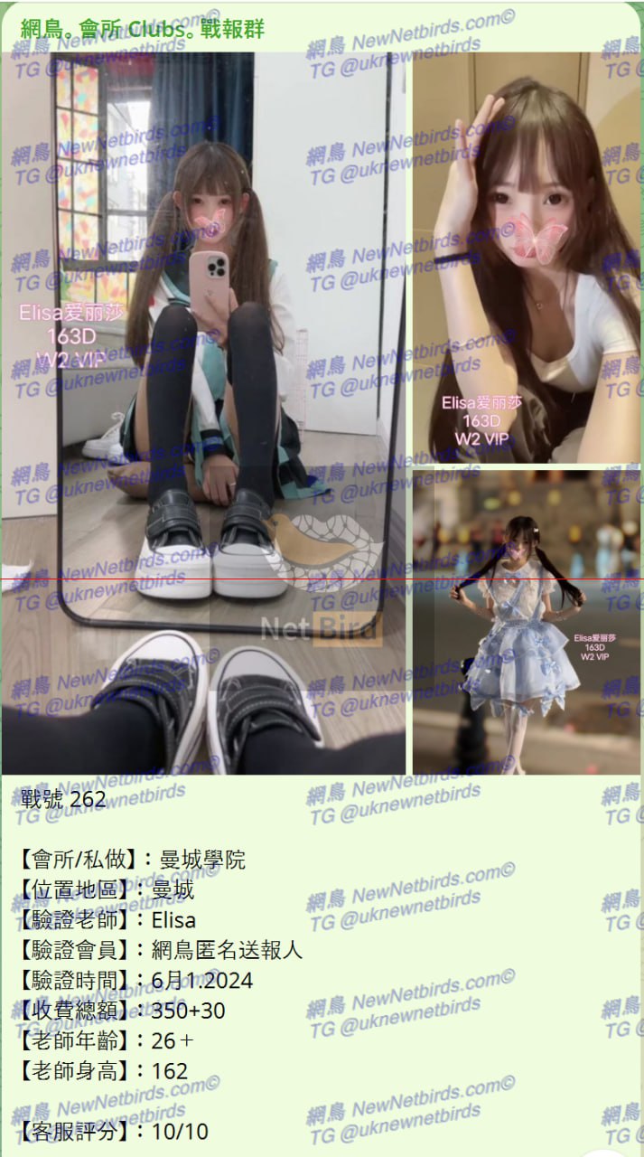 戰號 262 1.jpg